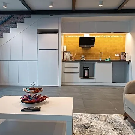 Best Flat In Taksim For Rentникальная квартира в аренду独特的公寓出租